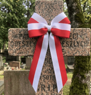 Kokarda biało-czerwona samoprzylepna 15x25cm na pomnik, wóz